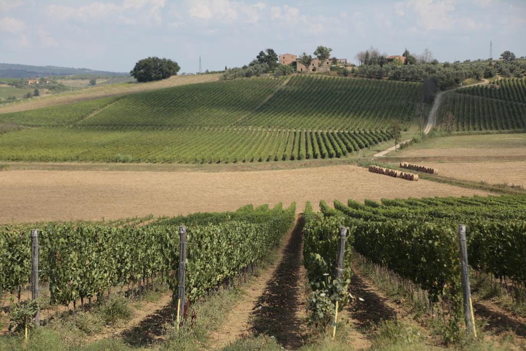 Agriturismo Spazzavento Винчи Экстерьер фото